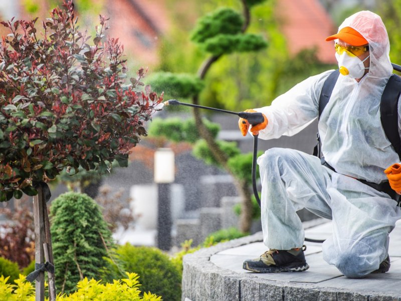 Eflani Haşere İlaçlama